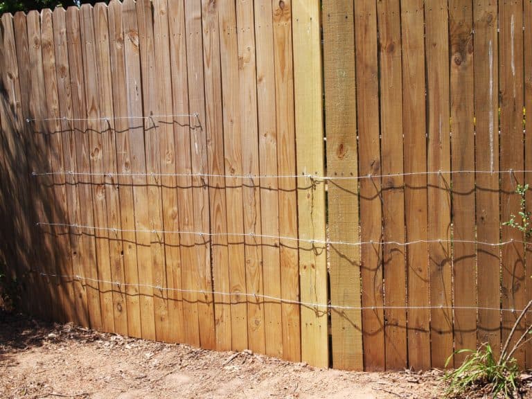 DIY invisible trellis on fence