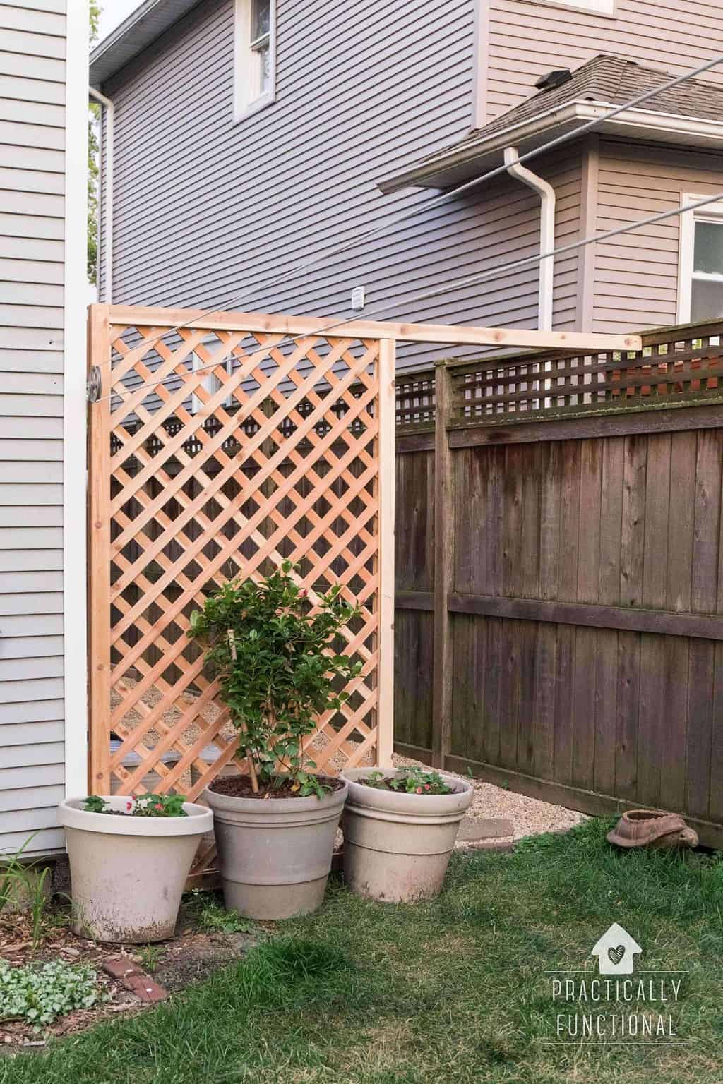 DIY trellis screen next to fence