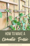 how to make a clematis trellis