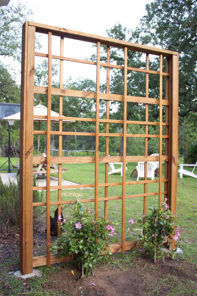 20 Diy Arbor And Trellis Ideas For Your Garden The Handyman S Daughter