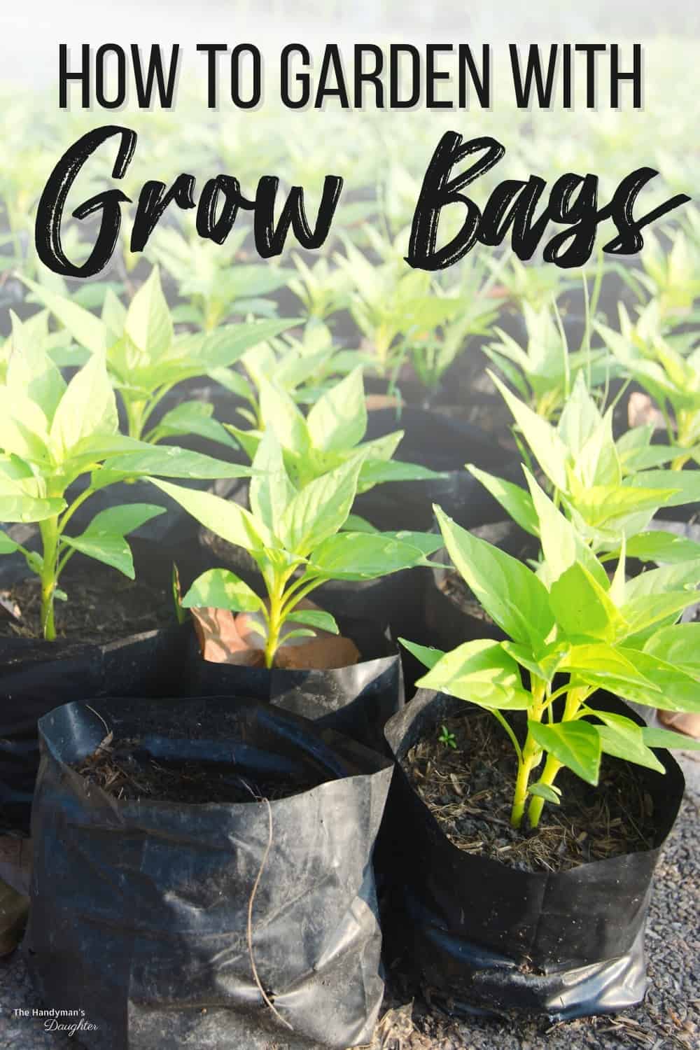 How to Use Grow Bags For Gardening The Handyman's Daughter