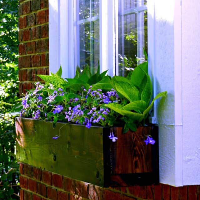 20 Gorgeous DIY Window Box Planter Ideas - The Handyman's Daughter