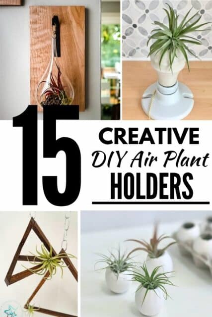 15 Creative DIY Air Plant Holder Ideas - The Handyman's Daughter