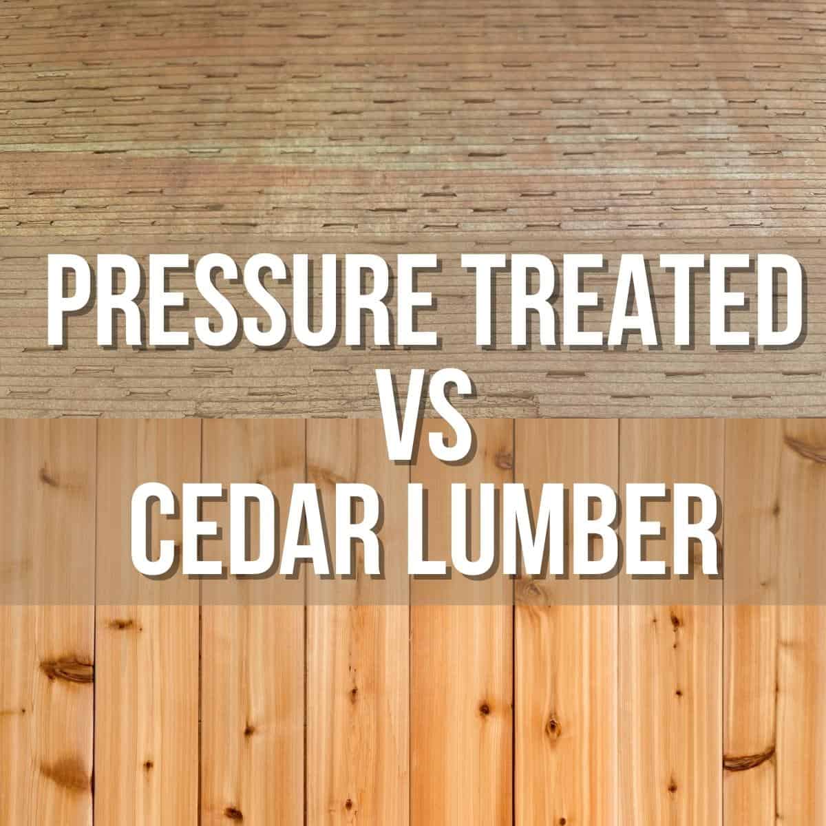 Cedar Vs Pressure Treated Lumber The Handyman s Daughter