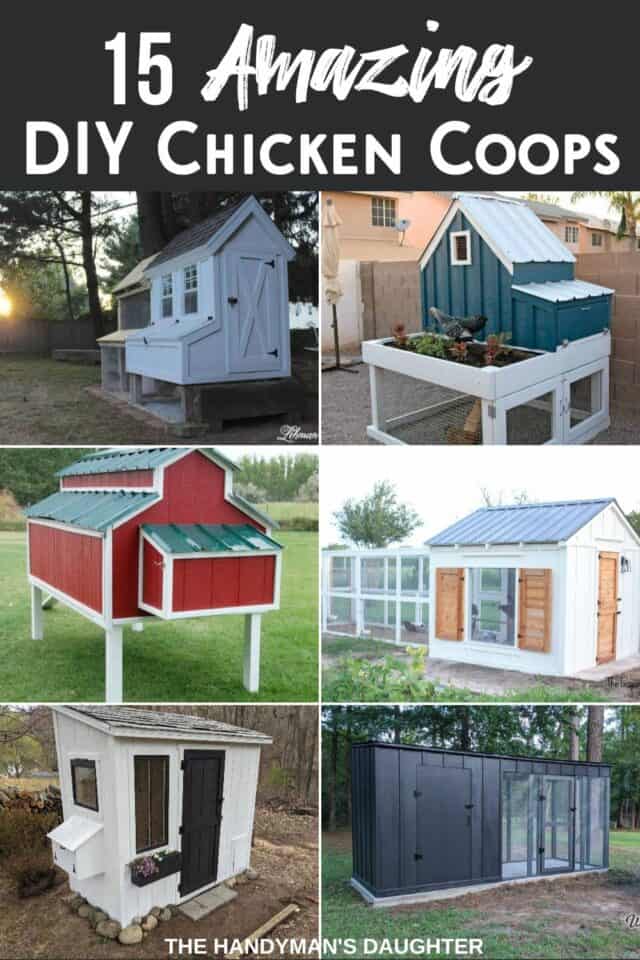 15 DIY Chicken Coop Ideas for Your Backyard Flock - The Handyman's Daughter