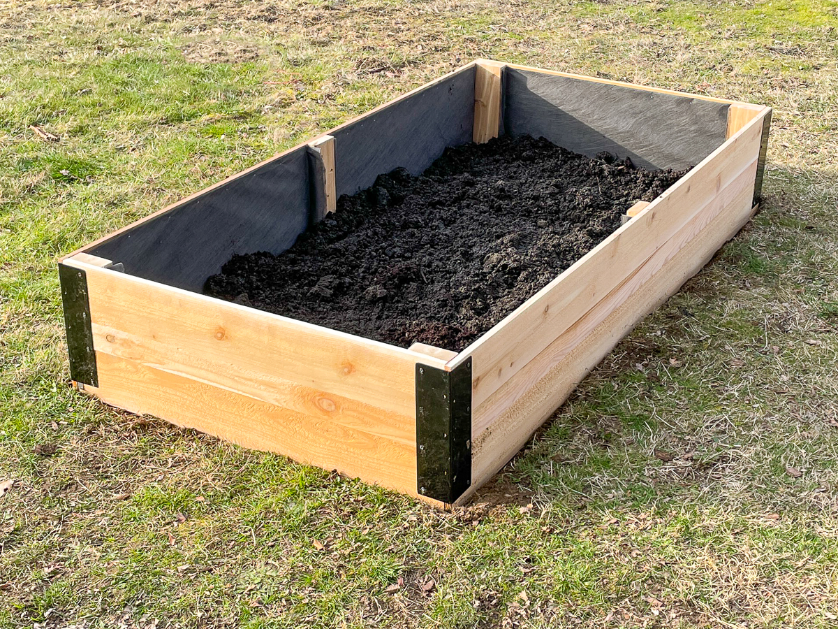 https://www.thehandymansdaughter.com/wp-content/uploads/2023/06/diy-raised-bed-empty.jpg