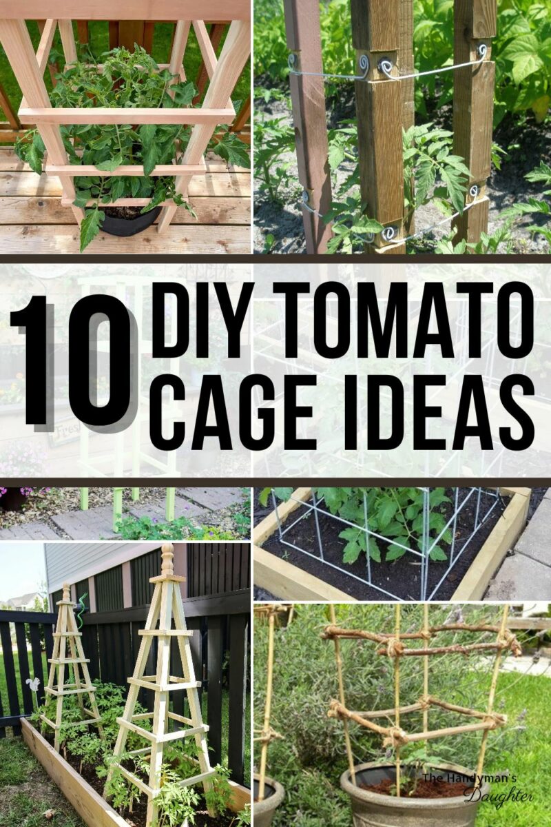 DIY Tomato Cage Ideas for Your Garden - The Handyman's Daughter