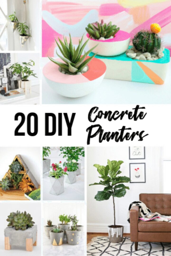 20 Easy DIY Concrete Planter Ideas - The Handyman's Daughter