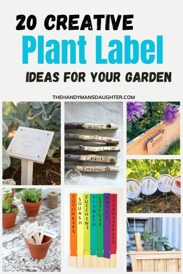 20 Creative DIY Plant Labels for Your Garden - The Handyman's Daughter