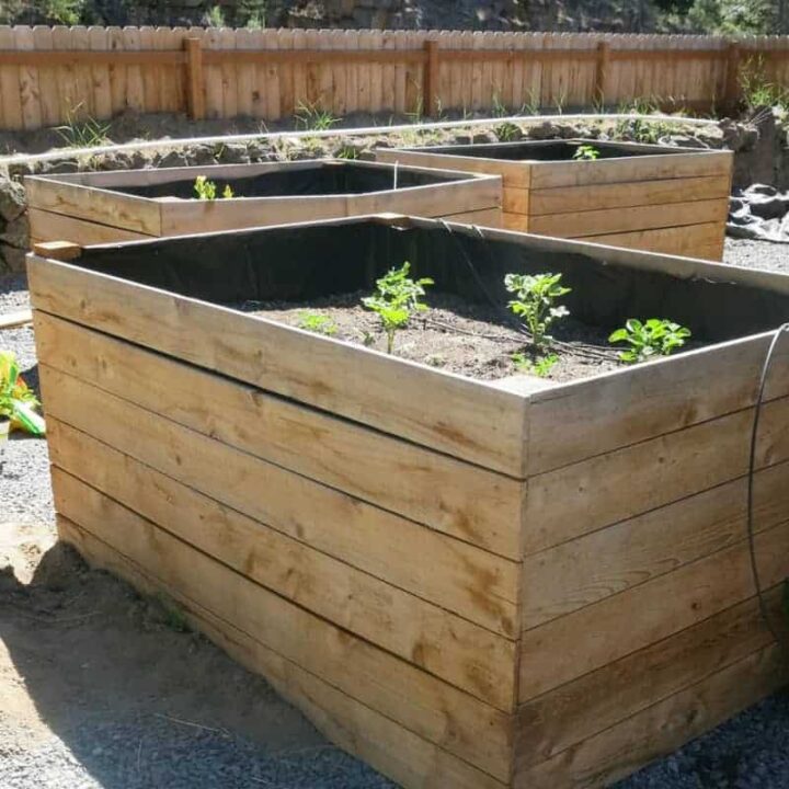 17 Inexpensive Raised Garden Bed Ideas - The Handyman's Daughter