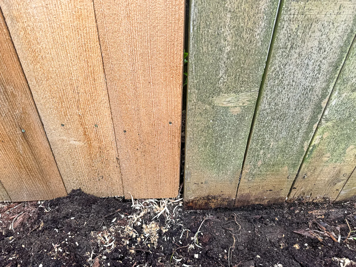 bottom of fence with soil pushed away from boards