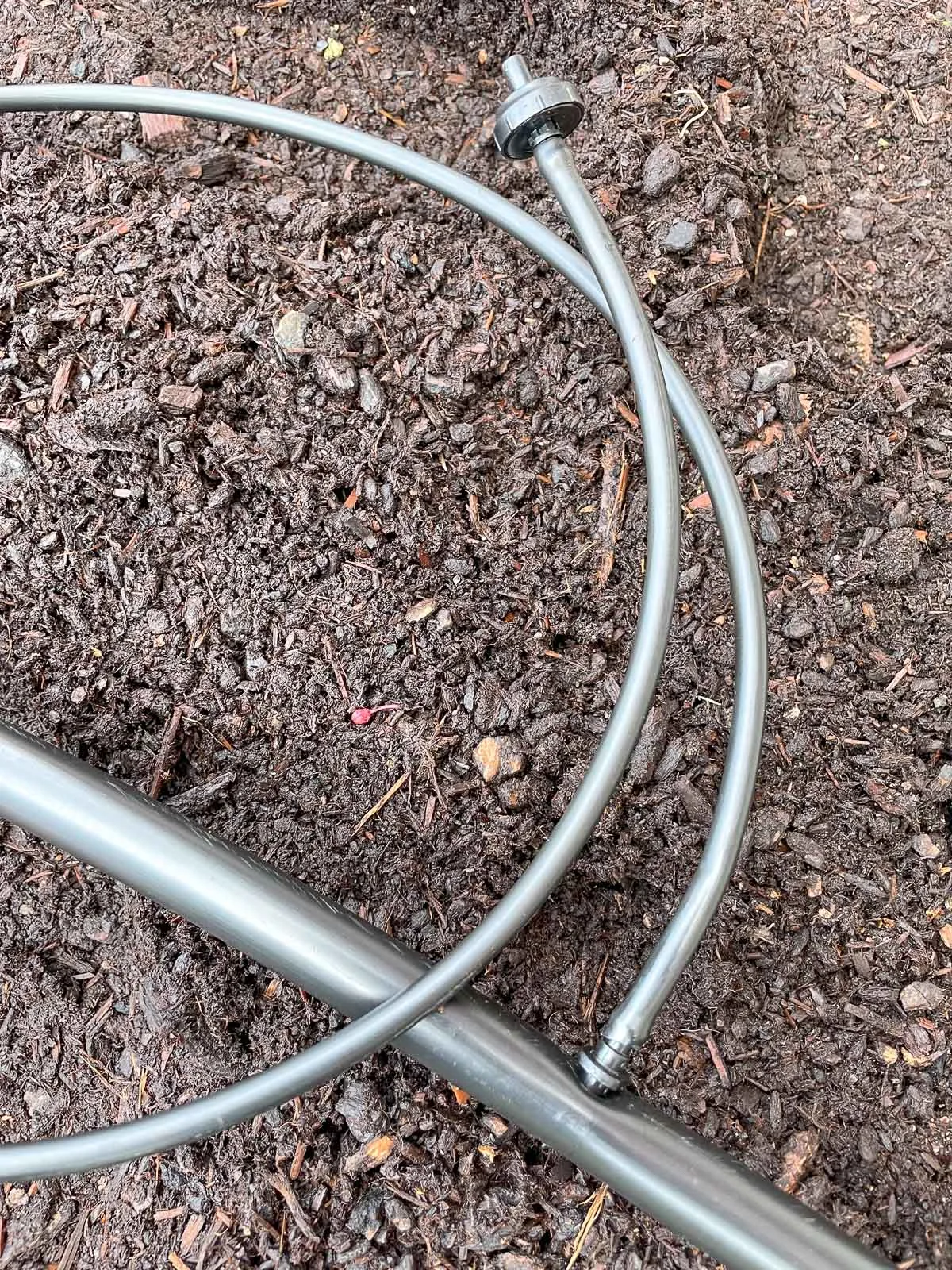 emitter on the end of a ¼" drip irrigation tube