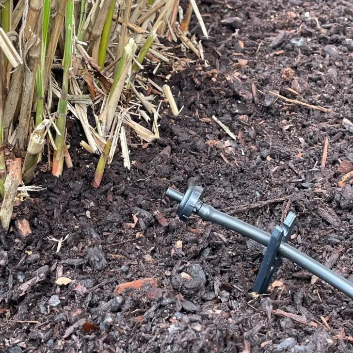 drip irrigation in garden bed